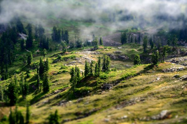 countryside-daylight-earth-695299 countryside-daylight-earth-695299